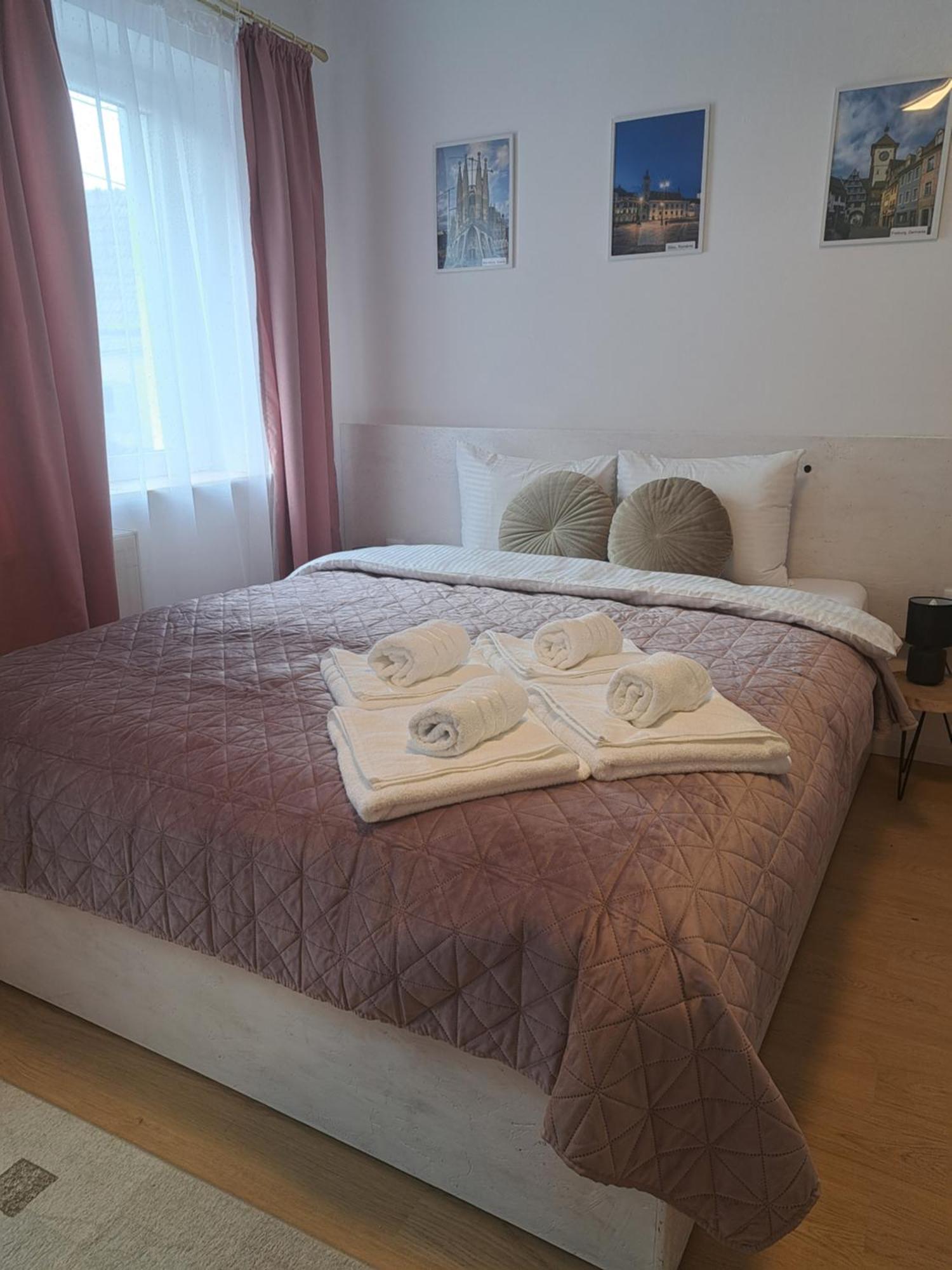 Studio With Free Parking In The Center - Deliamo 3 Sibiu Luaran gambar
