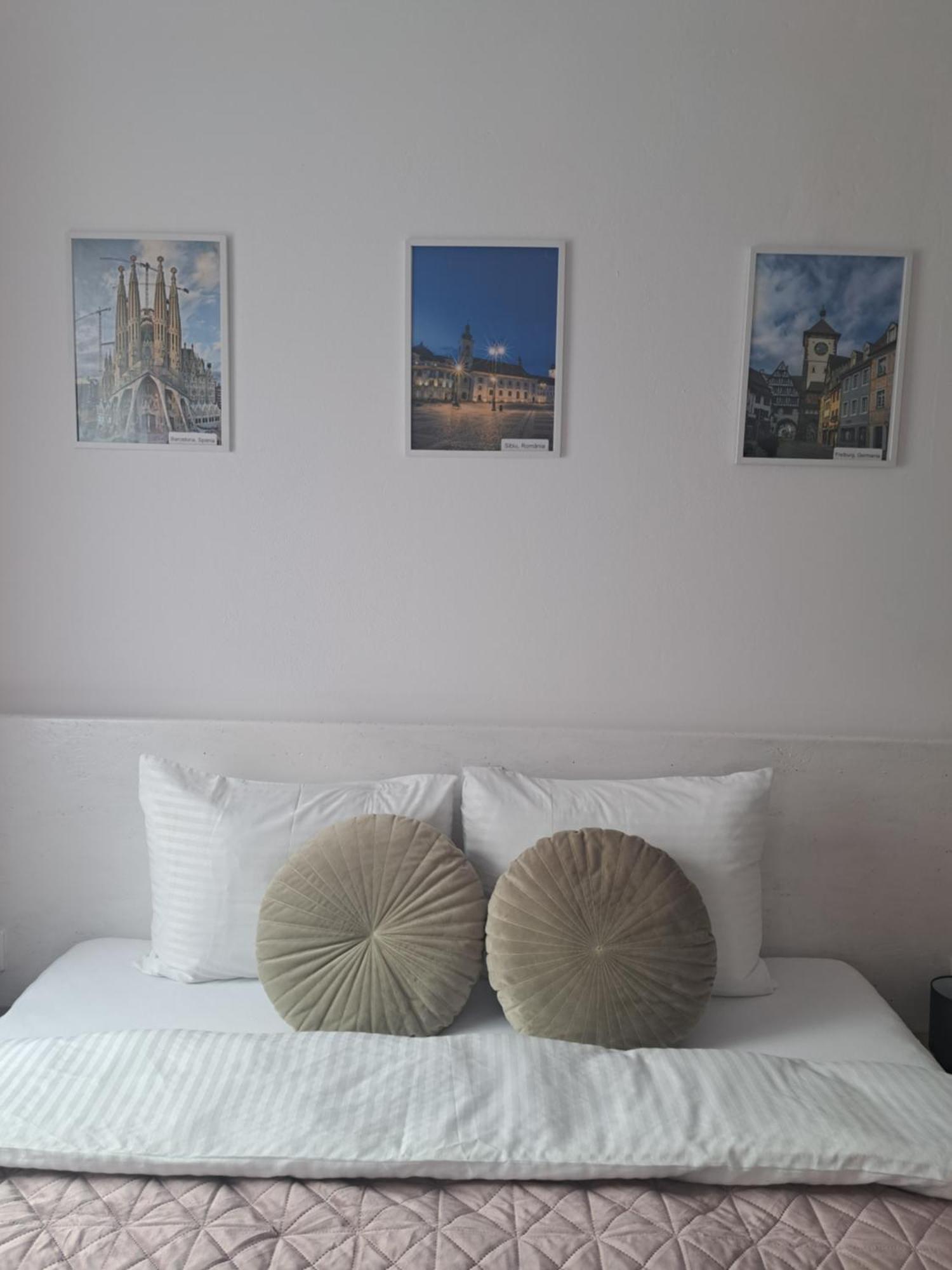 Studio With Free Parking In The Center - Deliamo 3 Sibiu Luaran gambar